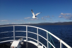 Orkney by boat