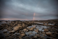 Orkney coast