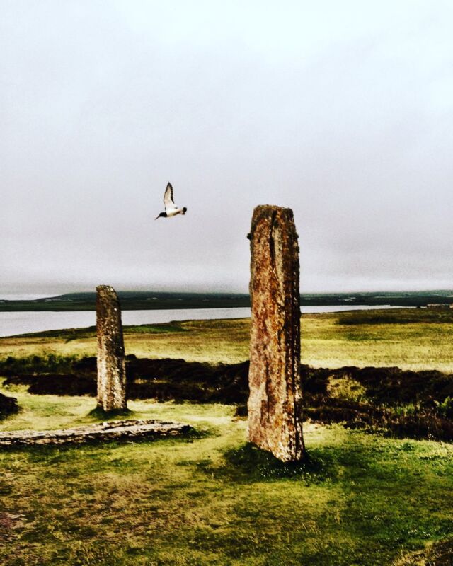 Ring of Brodgar. One of Orkney’s archeological treasures. #stonecircle #outlander #orkney #jackieshouseorkney #visitscotland #stromness #neolithic #unescoworldheritage