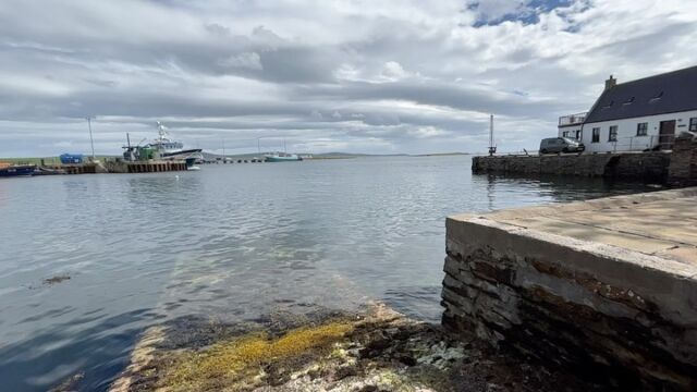 Island life at its best. #stromness #jackieshouseorkney #orkneyholidayhome #selfcatering #visitorkney #visitscotland #islandlife